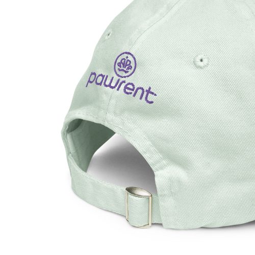 pastel-baseball-hat-pastel-mint-product-details-61f1e0c25184d.jpg