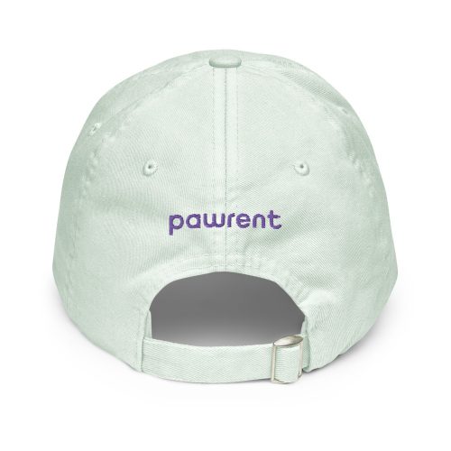 pastel-baseball-hat-pastel-mint-back-6209d8aa7c726.jpg